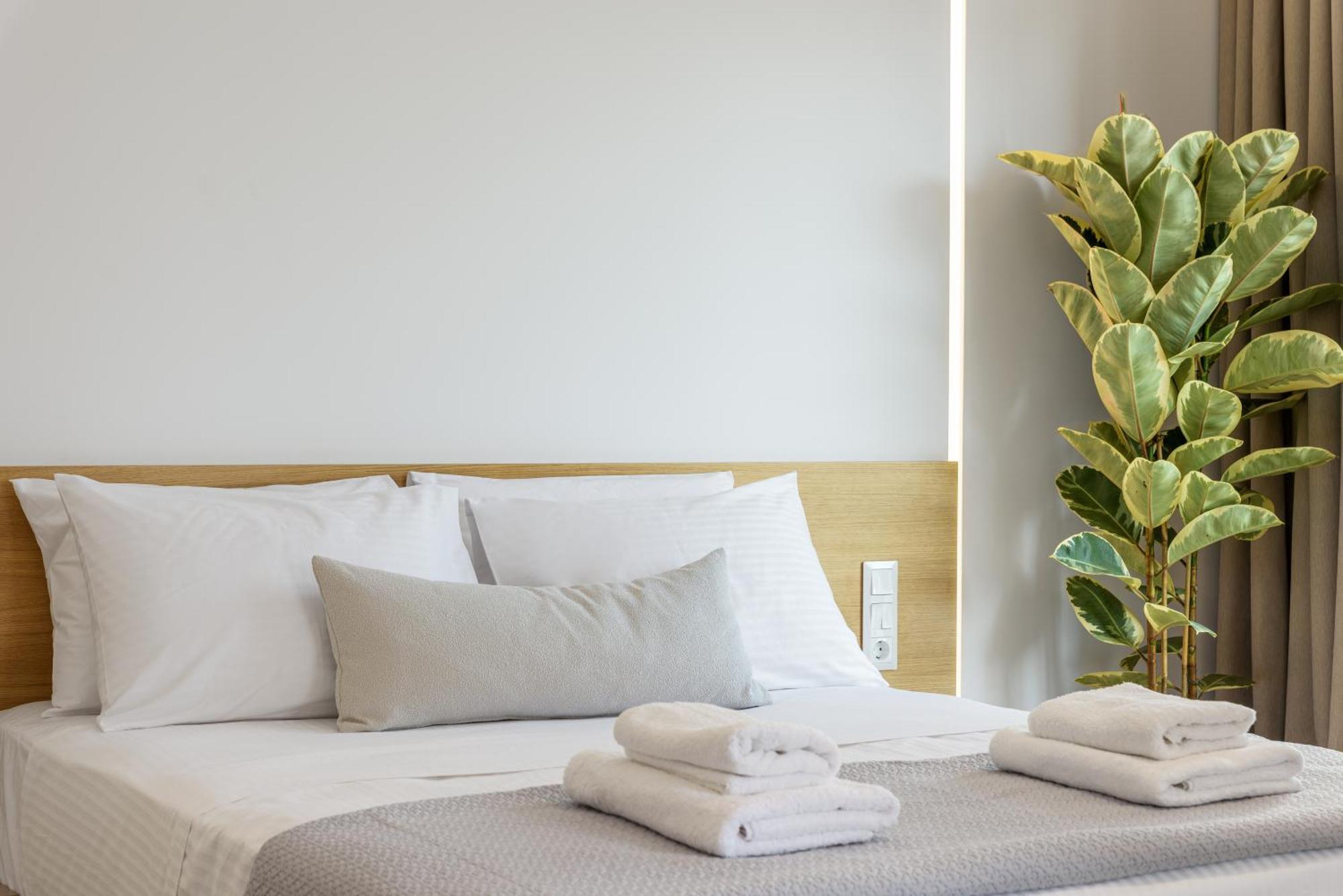 Central Sunny Loft With Plunge Pool Αθήνα Εξωτερικό φωτογραφία
