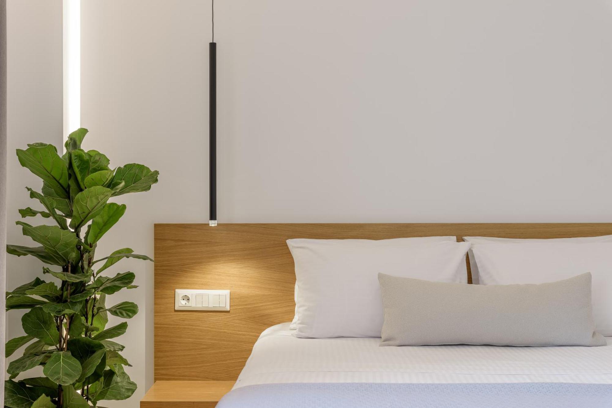 Central Sunny Loft With Plunge Pool Αθήνα Εξωτερικό φωτογραφία
